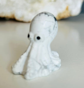 Octopus | Small