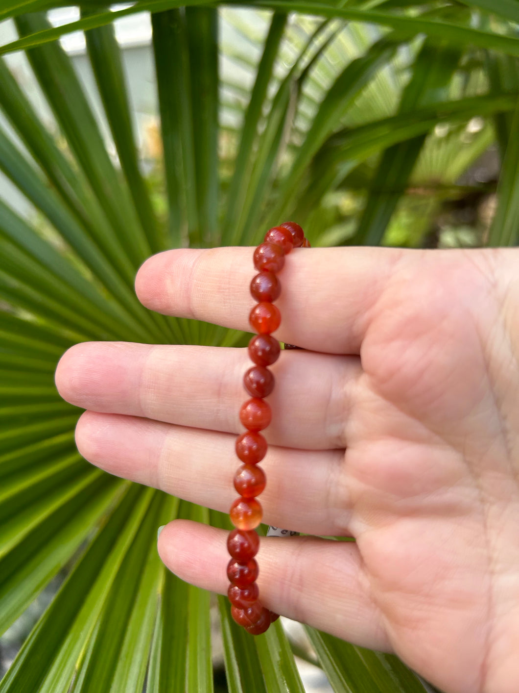 Bead Bracelet | Carnelian