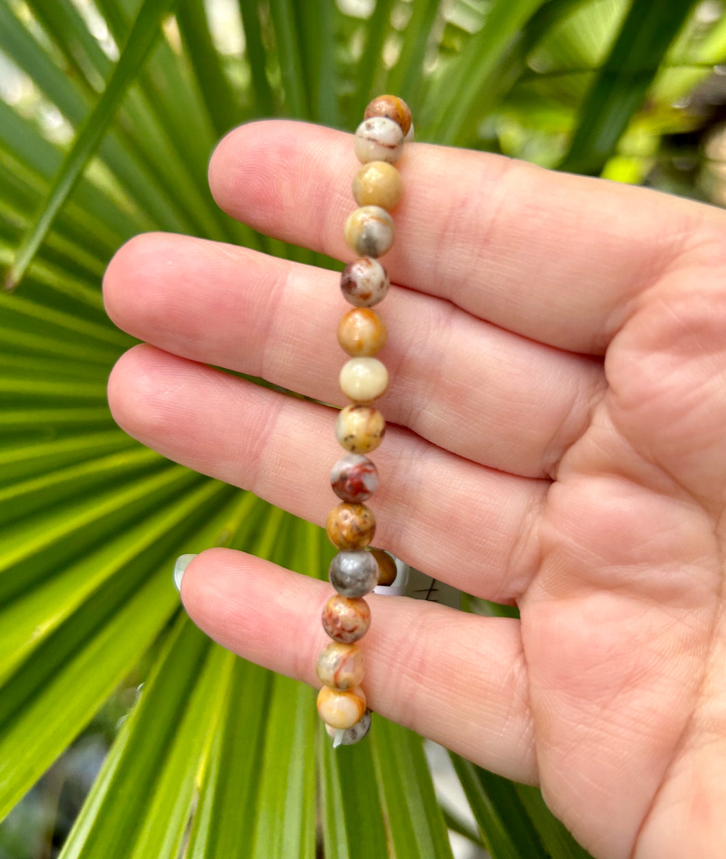 Bead Bracelet | Crazy Lace Agate