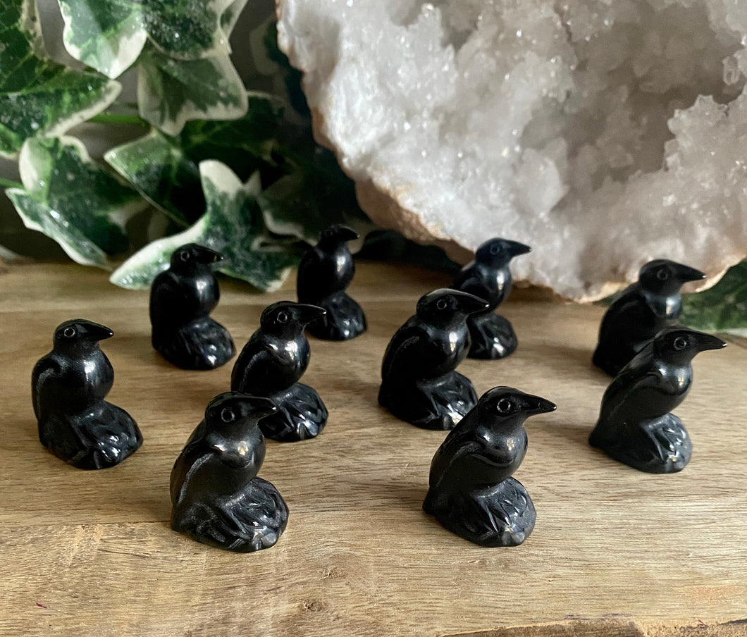 Mini Ravens | Black Obsidian