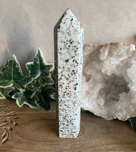 Load image into Gallery viewer, Polished Point | Kiwi Jasper
