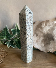 Load image into Gallery viewer, Polished Point | Kiwi Jasper
