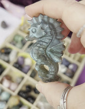 Load and play video in Gallery viewer, Seahorse | Labradorite
