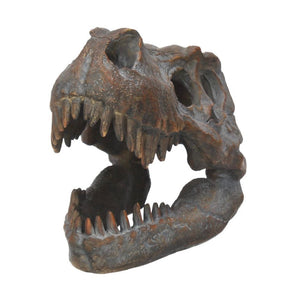 Skulls | Tyrannosaurus Rex