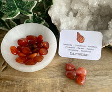 Load image into Gallery viewer, Tumble Stone | Carnelian
