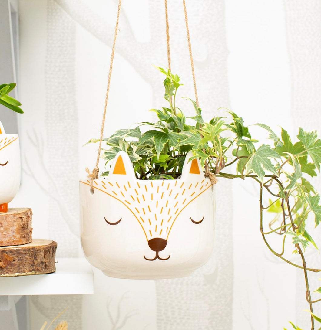 sass and belle hanging planter Hanging Planter