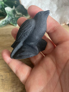 Bird Carving | Black Obsidian