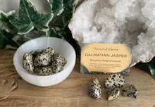 Load image into Gallery viewer, Tumble Stones | Dalmatian Jasper
