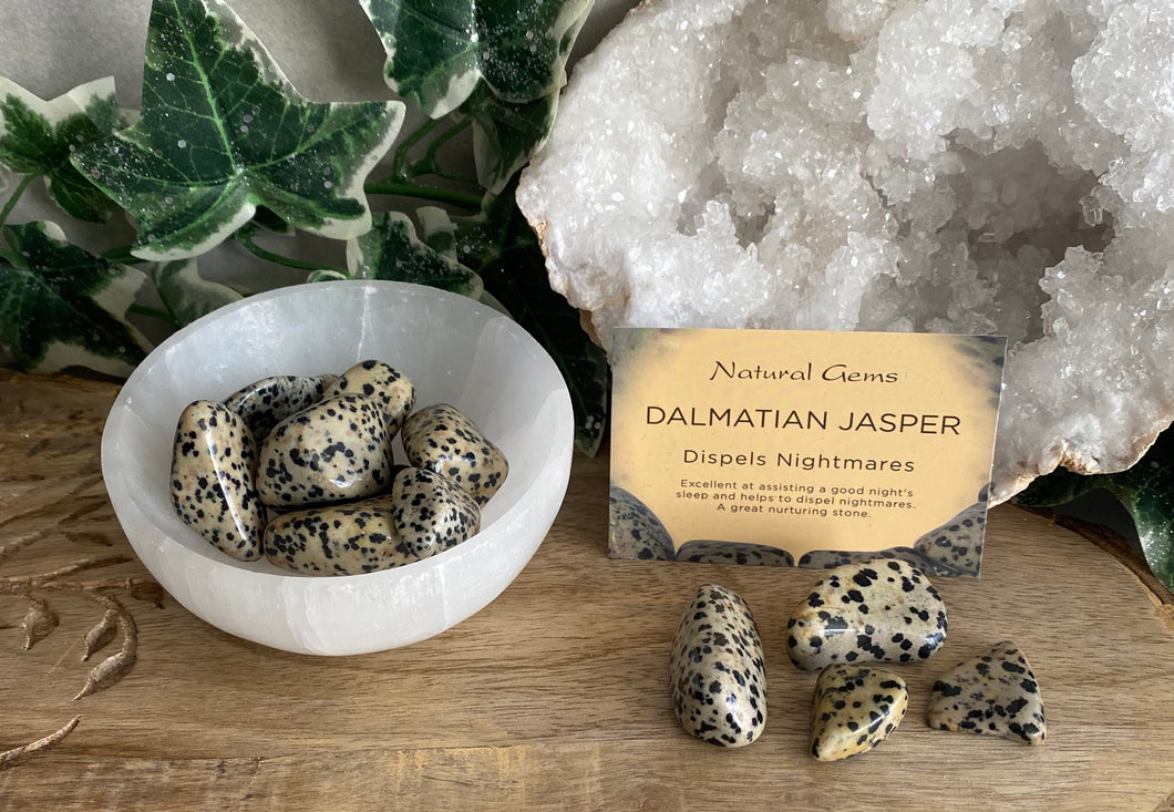 Tumble Stones | Dalmatian Jasper