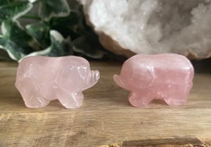 Pigs | Rose Quartz
