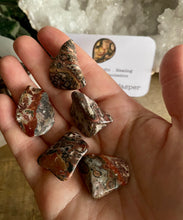 Load image into Gallery viewer, Tumble Stone | Leopard Skin Jasper

