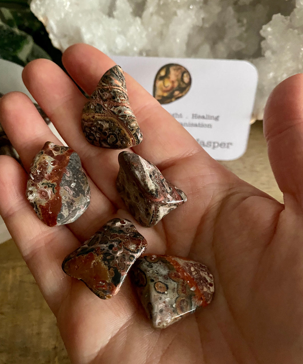 Tumble Stone | Leopard Skin Jasper