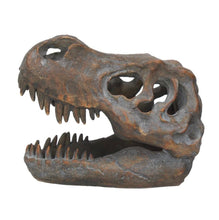 Load image into Gallery viewer, Skulls | Tyrannosaurus Rex
