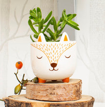 Load image into Gallery viewer, Mini Planter | Woodland Fox
