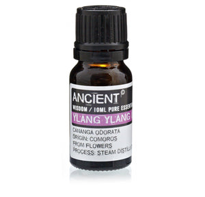 Essential Oil | Ylang Ylang 10ml