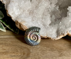 Bismuth Carving | Ammonite