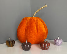 Load image into Gallery viewer, Pumpkins | Silver Stalks
