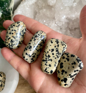 Tumble Stones | Dalmatian Jasper