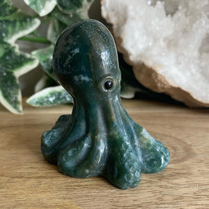 Octopus | 6cm