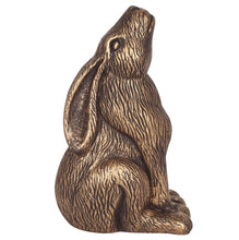 Load image into Gallery viewer, Large Terracotta Moon Gazing Hare | Bronze
