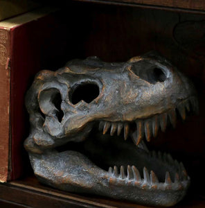 Skulls | Tyrannosaurus Rex