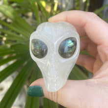 Load image into Gallery viewer, Crystal Carvings | Aliens 👽
