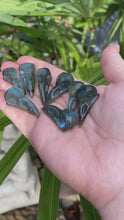 Load and play video in Gallery viewer, Labradorite Raven Skull
