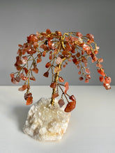 Load image into Gallery viewer, Gemstone Chip Trees | Medium
