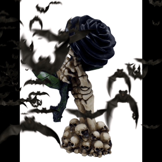 Rose in Hand | Black Rose￼