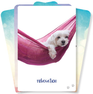 Dog Wisdom Affirmation Cards