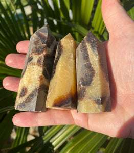Polished Points | Septarian
