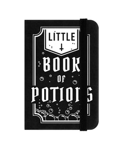 Book of Potions Mini Notebook