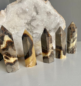 Polished Points | Septarian