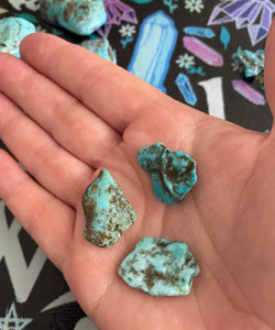 Polished Turquoise Pieces