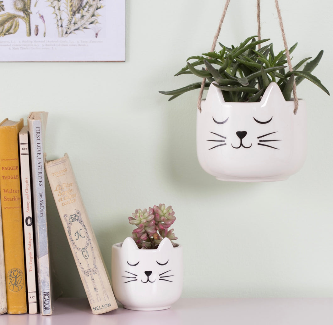 Napping Cat Hanging Planter