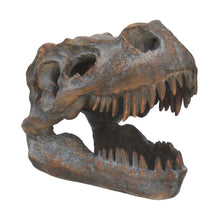 Load image into Gallery viewer, Skulls | Tyrannosaurus Rex | 16cm
