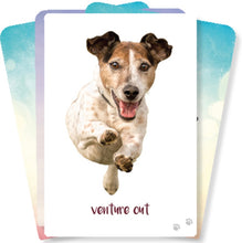 Load image into Gallery viewer, Dog Wisdom Affirmation Cards
