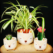 Load image into Gallery viewer, Mini Planter | Woodland Fox
