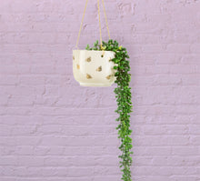 Load image into Gallery viewer, Hanging Planter | Queen Bee

