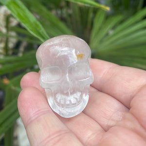 Crystal Skull | Clear Quartz
