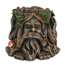 Load image into Gallery viewer, Green Man Planter
