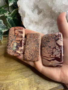 Polished Slices | Red Picture Jasper