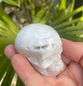 Crystal Skull | White Agate