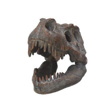 Load and play video in Gallery viewer, Skulls | Tyrannosaurus Rex | 16cm
